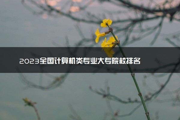 2023全国计算机类专业大专院校排名