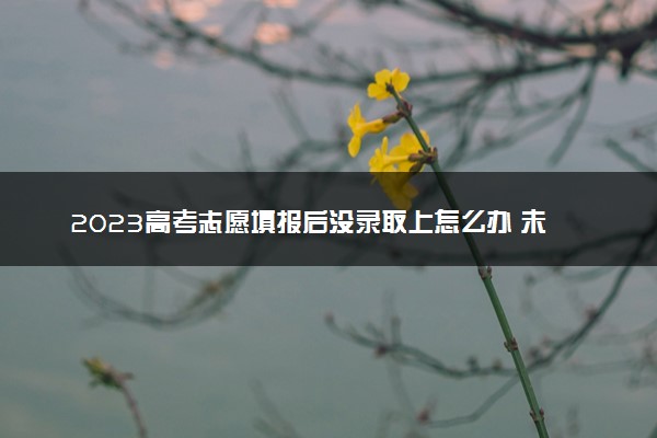 2023高考志愿填报后没录取上怎么办 未被录取原因