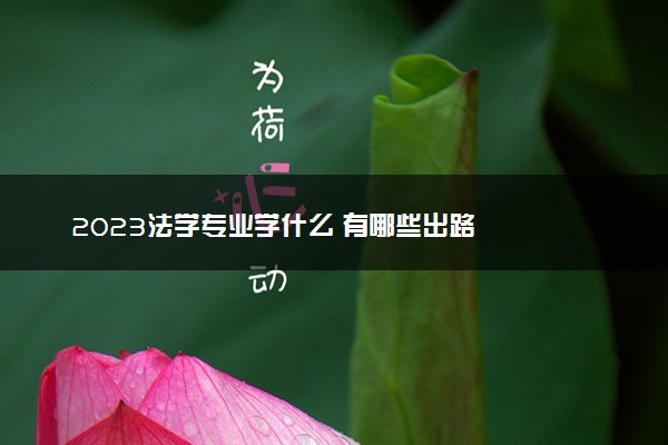 2023法学专业学什么 有哪些出路