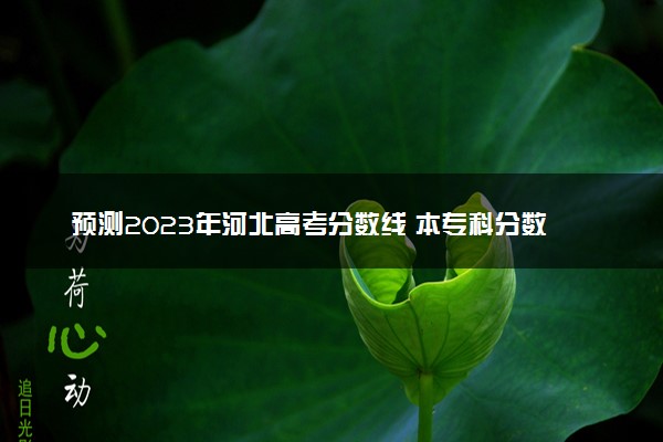 预测2023年河北高考分数线 本专科分数线预计多少