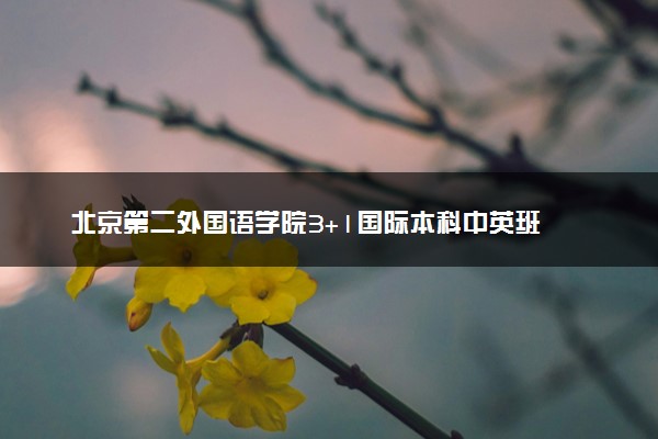 北京第二外国语学院3+1国际本科中英班
