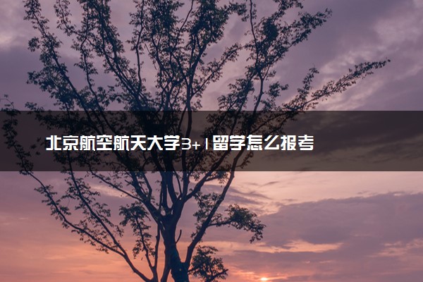 北京航空航天大学3+1留学怎么报考