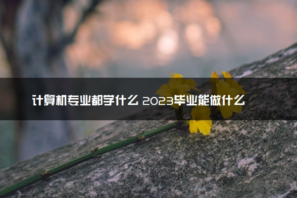 计算机专业都学什么 2023毕业能做什么