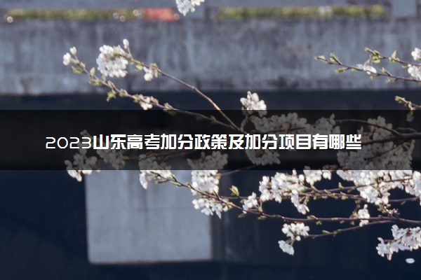 2023山东高考加分政策及加分项目有哪些