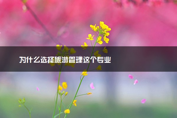 为什么选择旅游管理这个专业