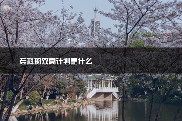 专科的双高计划是什么