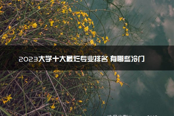 2023大学十大最烂专业排名 有哪些冷门专业