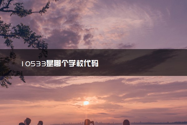 10533是哪个学校代码