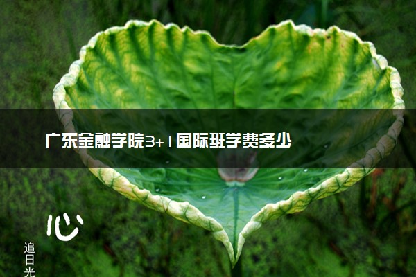 广东金融学院3+1国际班学费多少