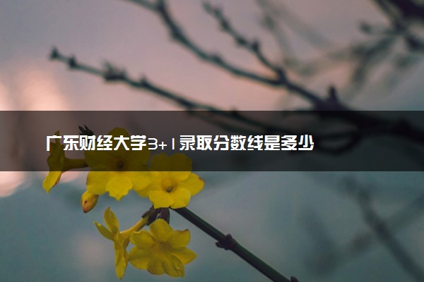 广东财经大学3+1录取分数线是多少