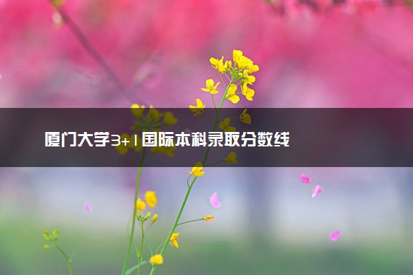 厦门大学3+1国际本科录取分数线