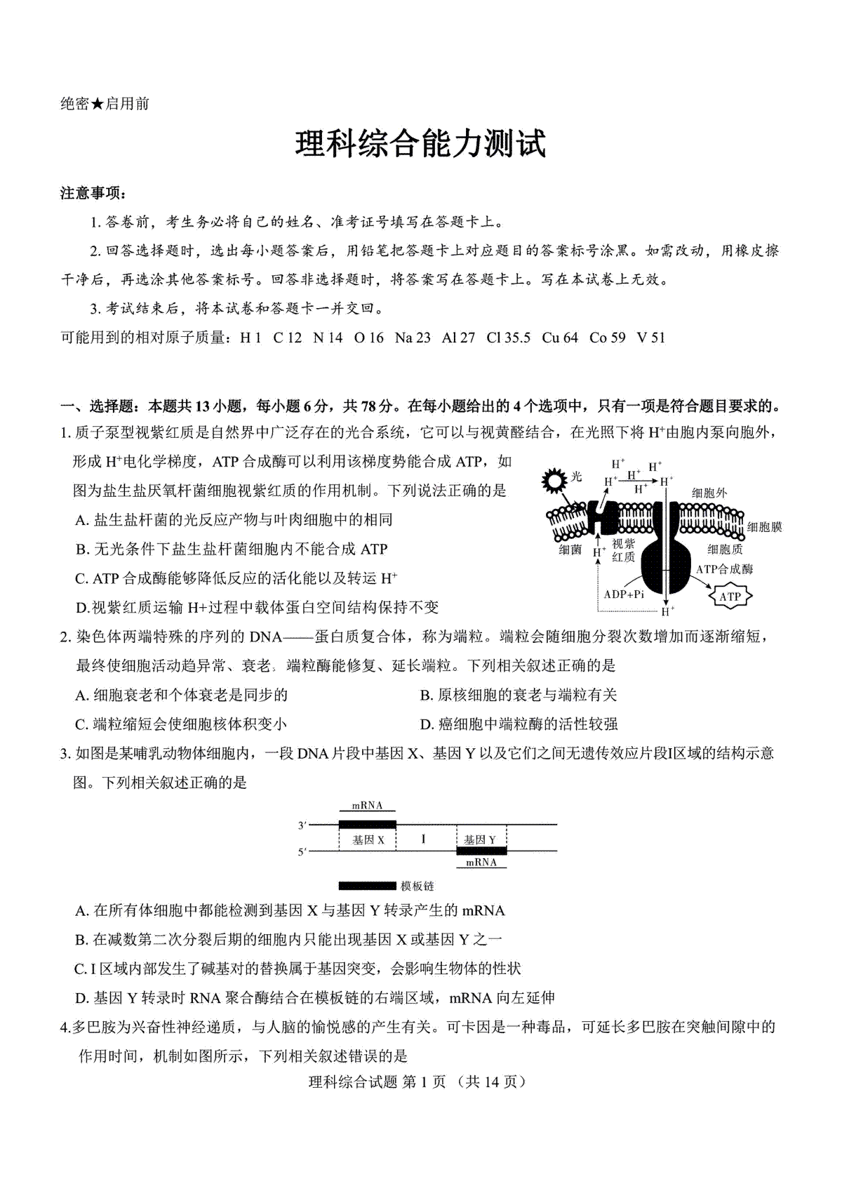 2023三重教育5月理综