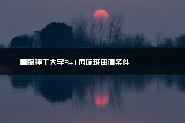 青岛理工大学3+1国际班申请条件