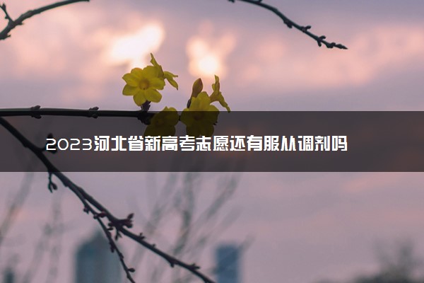 2023河北省新高考志愿还有服从调剂吗 报考技巧有哪些