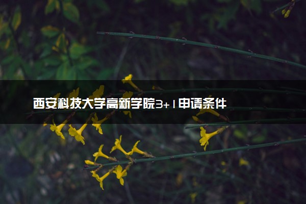 西安科技大学高新学院3+1申请条件