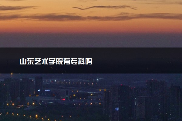 山东艺术学院有专科吗