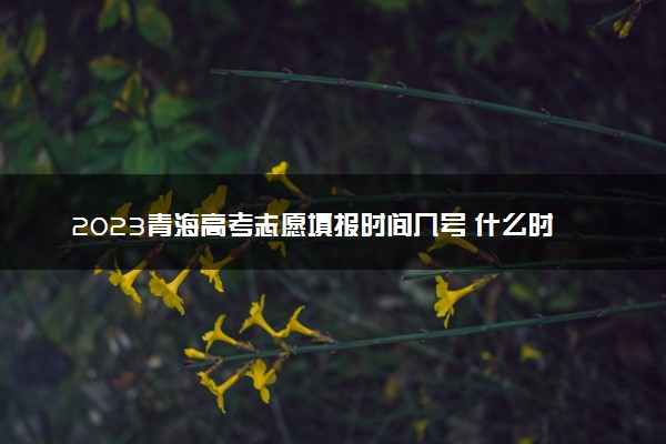2023青海高考志愿填报时间几号 什么时候报志愿