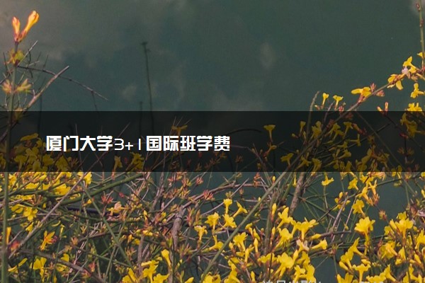 厦门大学3+1国际班学费