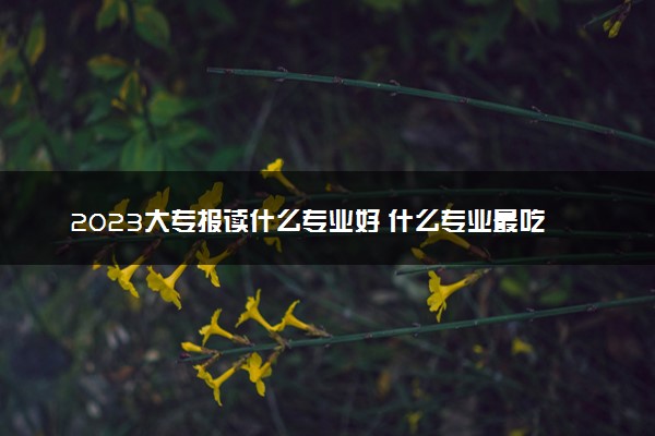 2023大专报读什么专业好 什么专业最吃香