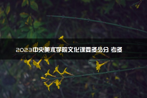 2023中央美术学院文化课要多少分 考多少才能上