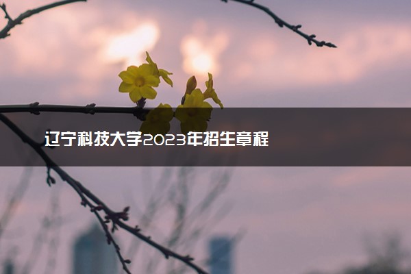 辽宁科技大学2023年招生章程