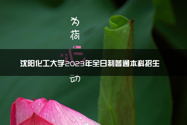 沈阳化工大学2023年全日制普通本科招生章程