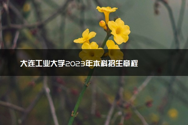大连工业大学2023年本科招生章程