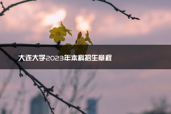 大连大学2023年本科招生章程