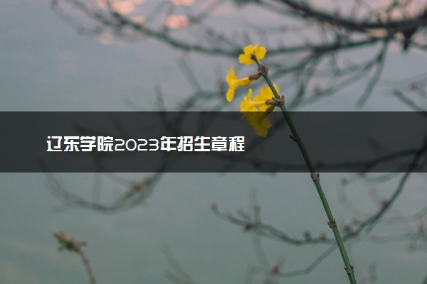 辽东学院2023年招生章程