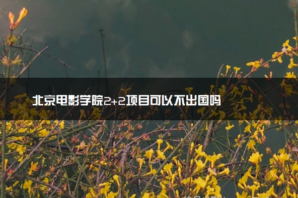 北京电影学院2+2项目可以不出国吗