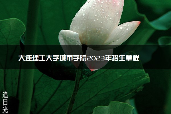 大连理工大学城市学院2023年招生章程