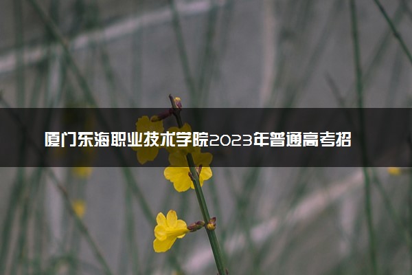 厦门东海职业技术学院2023年普通高考招生章程