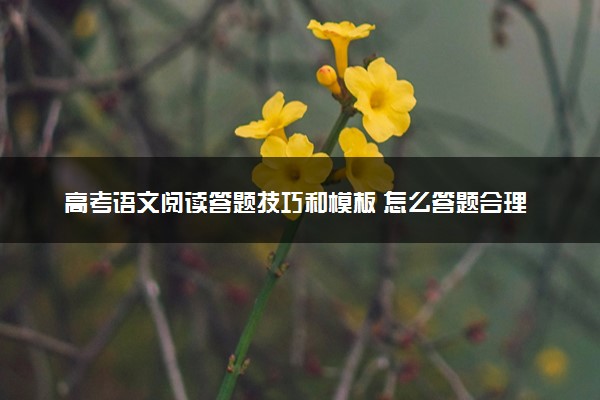 高考语文阅读答题技巧和模板 怎么答题合理