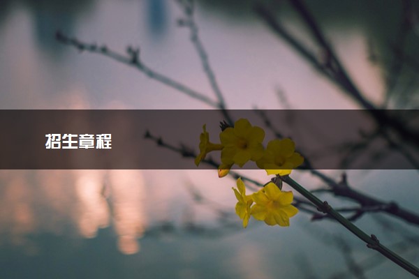 招生章程