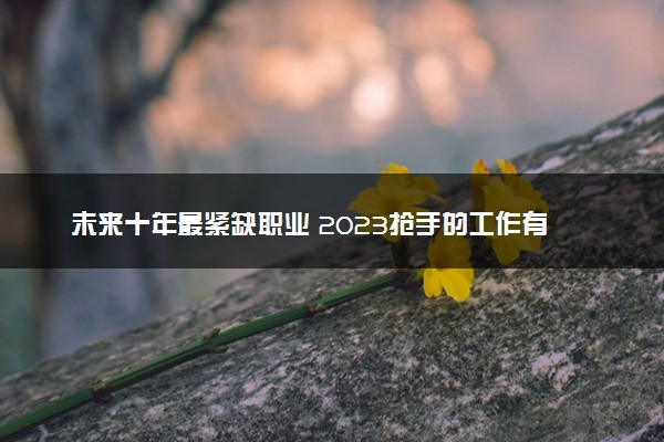 未来十年最紧缺职业 2023抢手的工作有哪些