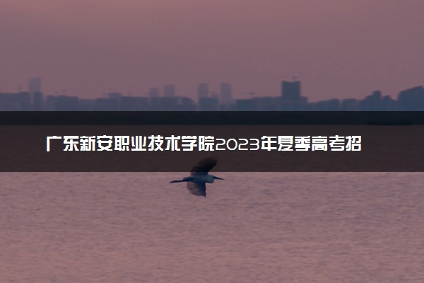 广东新安职业技术学院2023年夏季高考招生章程