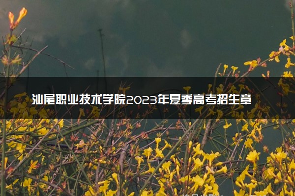 汕尾职业技术学院2023年夏季高考招生章程