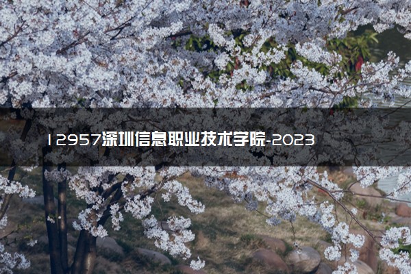 12957深圳信息职业技术学院-2023年夏季高考招生章程