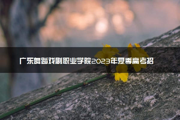广东舞蹈戏剧职业学院2023年夏季高考招生章程