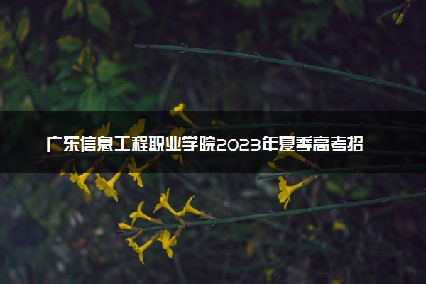 广东信息工程职业学院2023年夏季高考招生章程