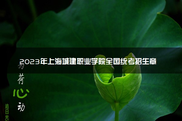 2023年上海城建职业学院全国统考招生章程