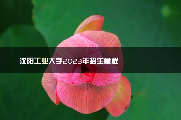 沈阳工业大学2023年招生章程