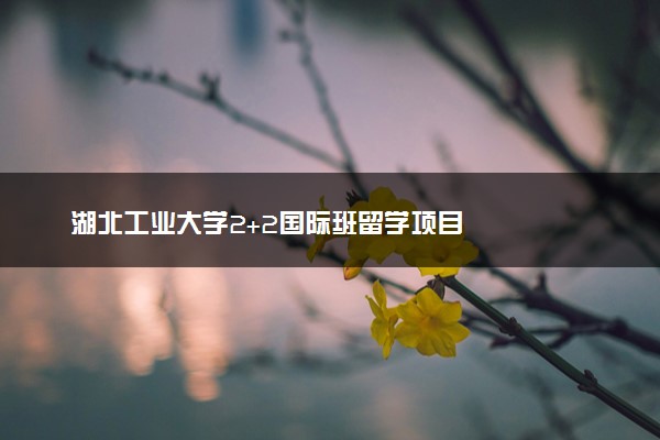 湖北工业大学2+2国际班留学项目