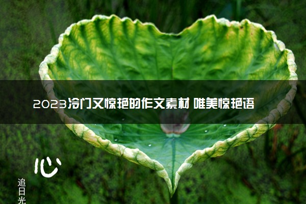 2023冷门又惊艳的作文素材 唯美惊艳语句摘抄