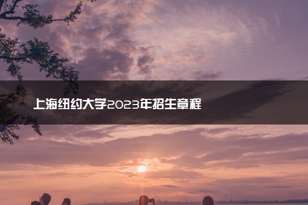 上海纽约大学2023年招生章程