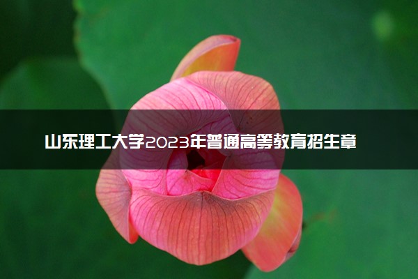 山东理工大学2023年普通高等教育招生章程