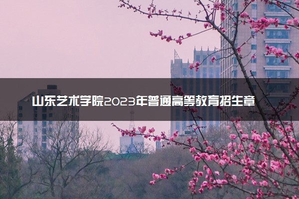 山东艺术学院2023年普通高等教育招生章程