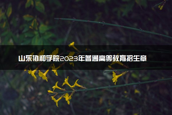 山东协和学院2023年普通高等教育招生章程