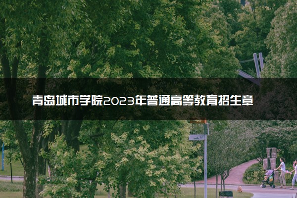 青岛城市学院2023年普通高等教育招生章程