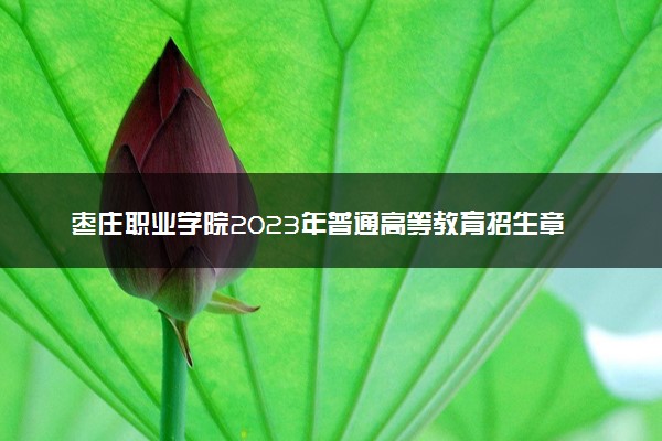 枣庄职业学院2023年普通高等教育招生章程